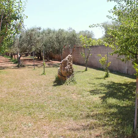 La Rosa Dei Venti * Alghero