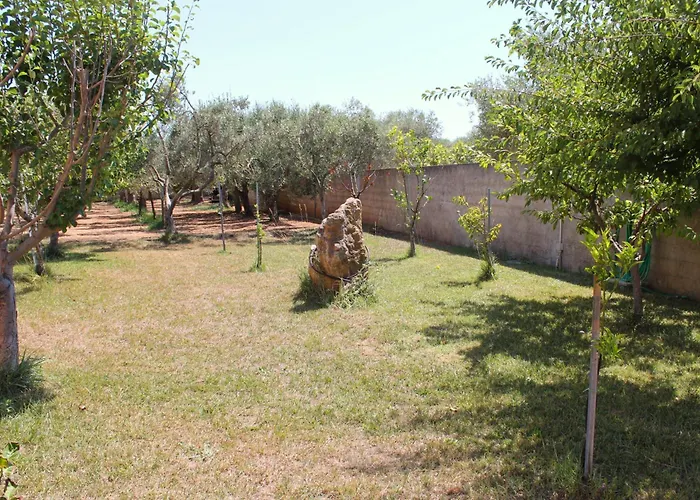 La Rosa Dei Venti * Alghero